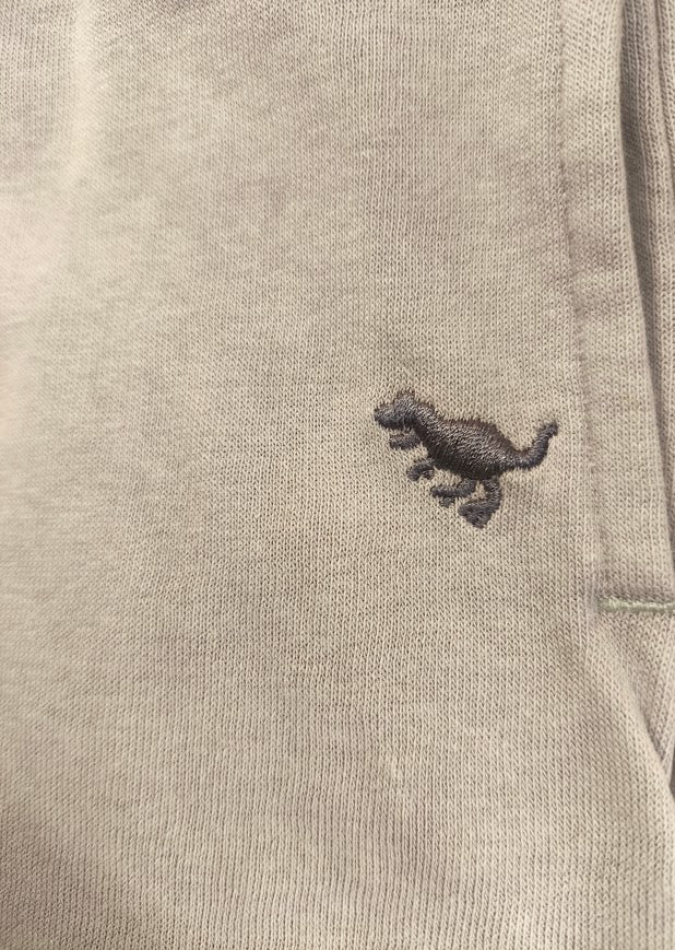 🌿 Next Jogginghose – Sanftes Grau mit Dino-Detail 🦖