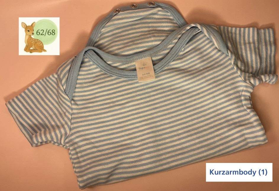 Bodyset kurzarm – Topomini, Größe 62/68 💙
